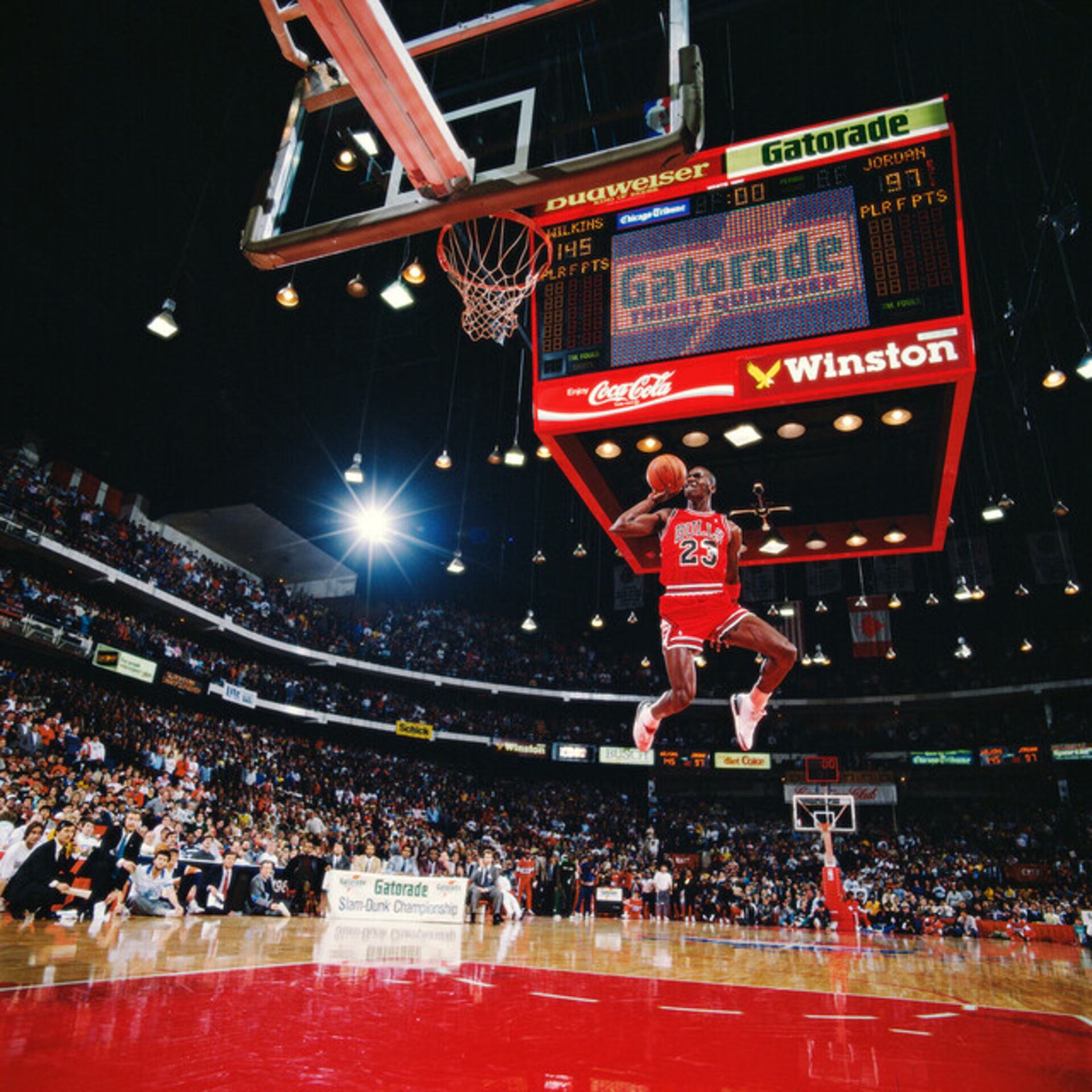 Chicago Bulls — player action photograph