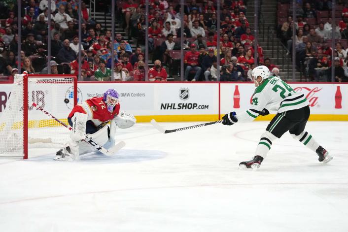 Dallas Stars — player action photograph