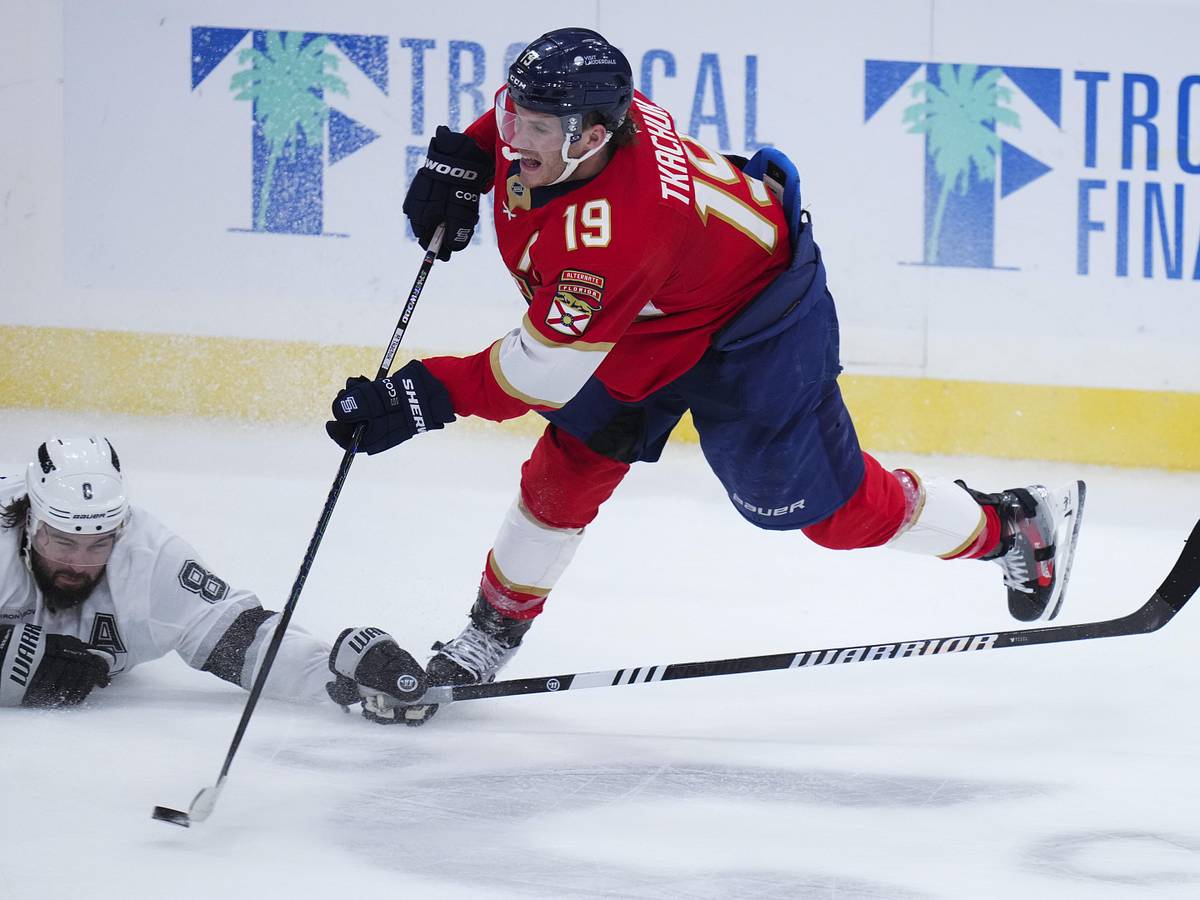 Florida Panthers — player action photograph
