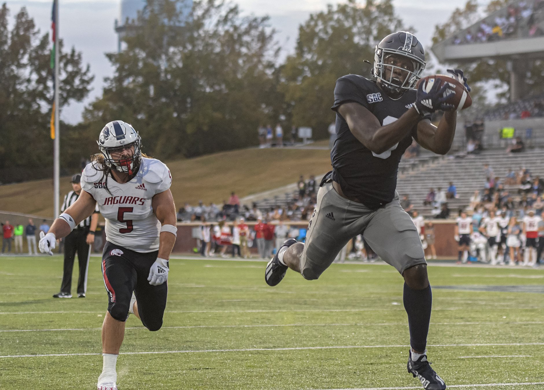 Georgia Southern Eagles — player action photograph