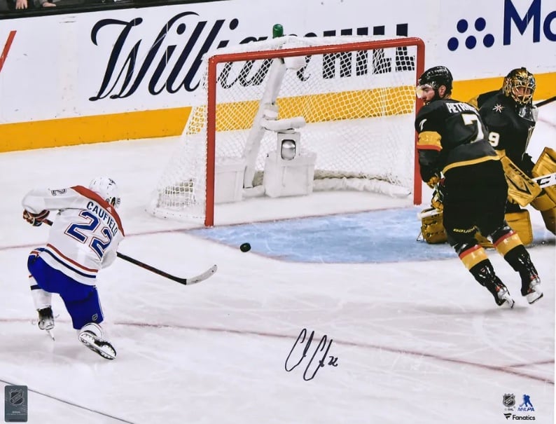 Montreal Canadiens — player action photograph