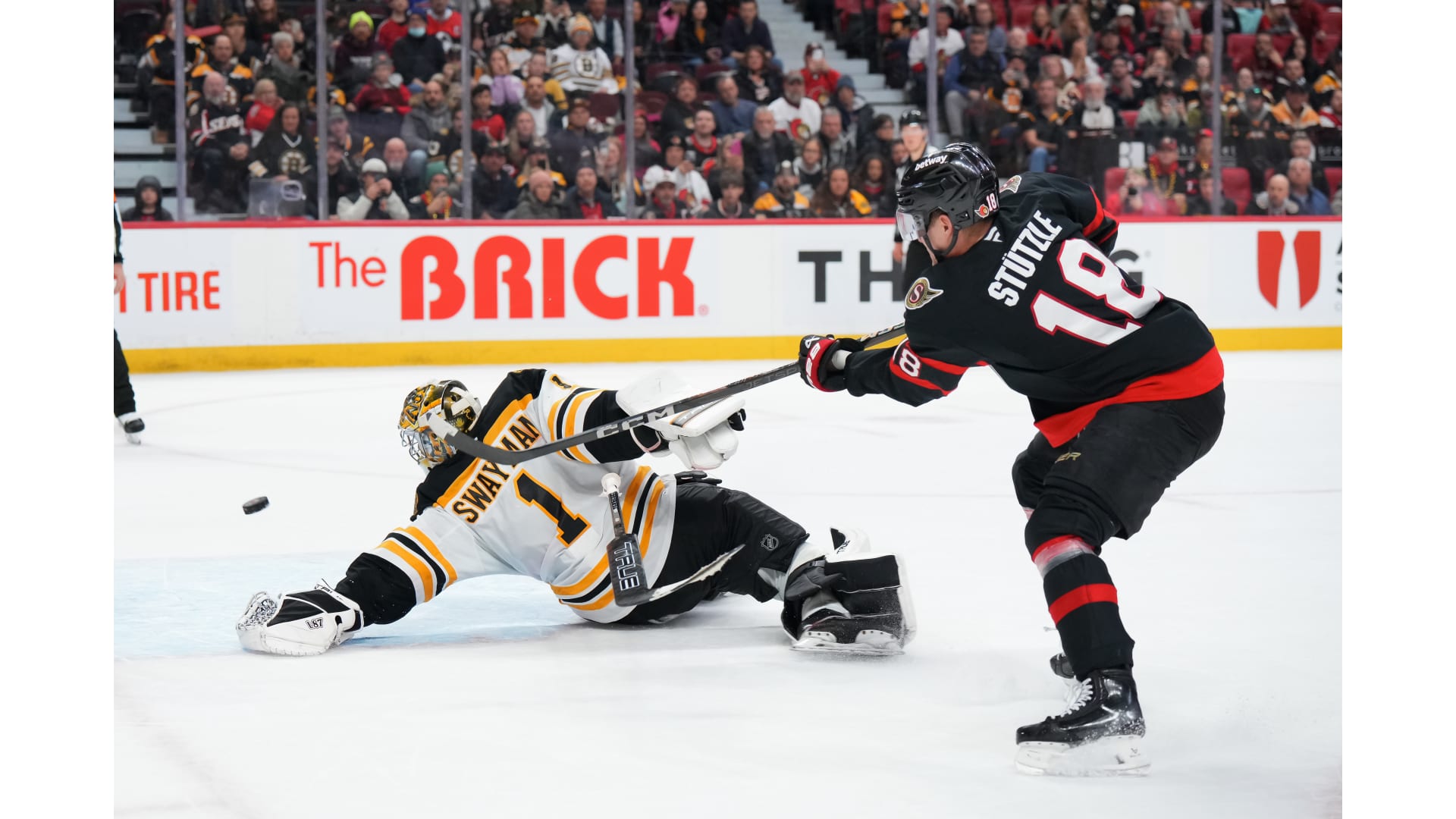 Ottawa Senators — player action photograph