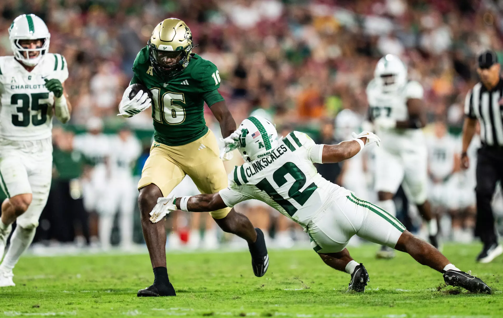South Florida Bulls — player action photograph